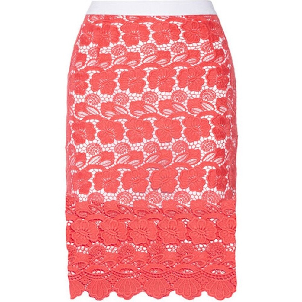 Rebecca Minkoff Angelica Floral Lace Skirt